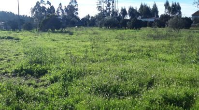 Terrain à Souto da Carpalhosa e Ortigosa de 1 015 m²