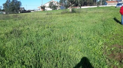 Terrain à Souto da Carpalhosa e Ortigosa de 1 015 m²