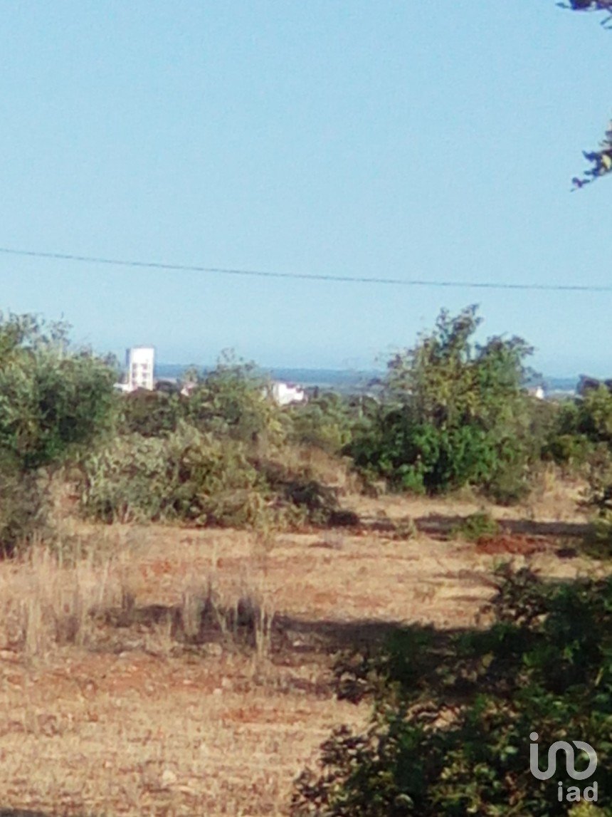 Agricultural land in Conceição e Estoi of 13,480 m²