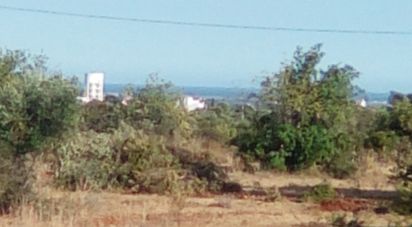 Agricultural land in Conceição e Estoi of 13,480 m²