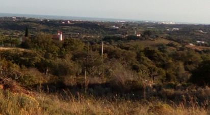 Agricultural land in Conceição e Estoi of 3,370 m²
