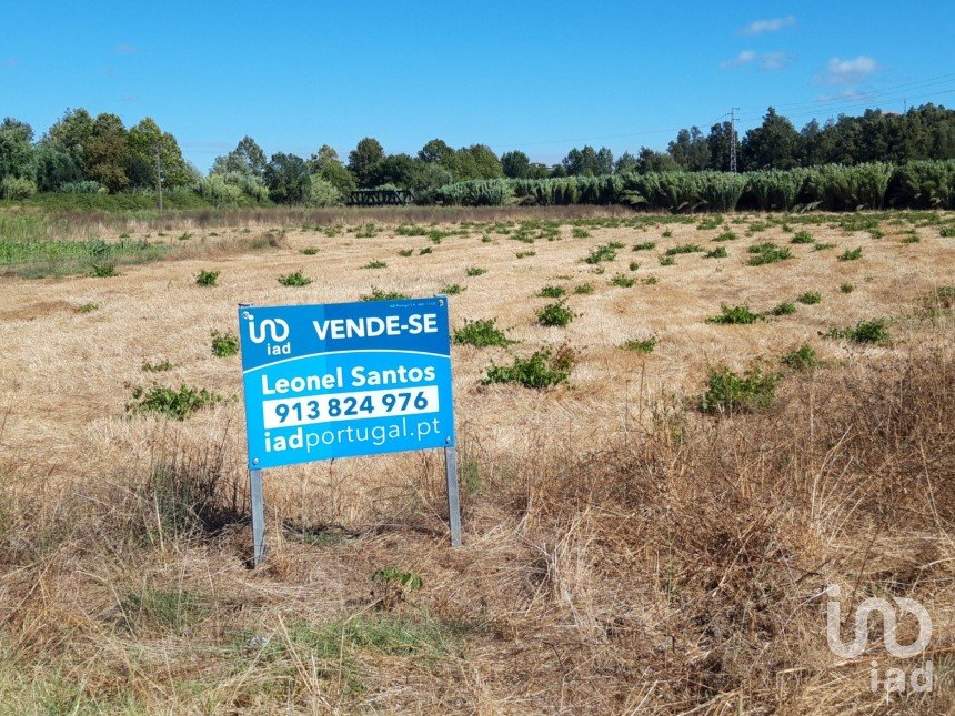 Terrain à Marrazes e Barosa de 18 099 m²