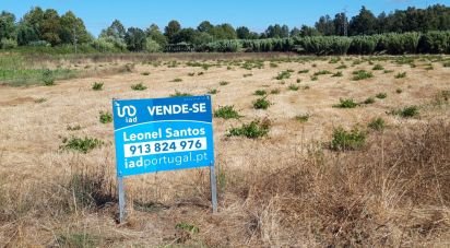 Terrain à Marrazes e Barosa de 18 099 m²