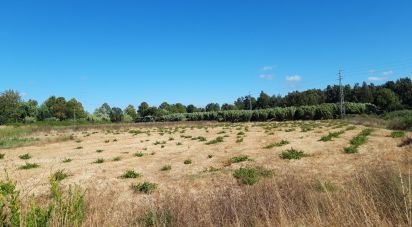 Terrain à Marrazes e Barosa de 18 099 m²