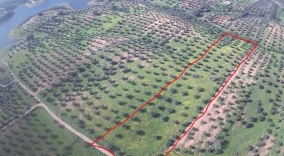 Land in Amieira E Alqueva of 8,000 m²