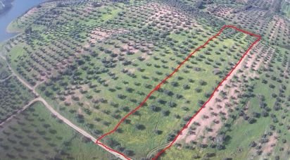 Land in Amieira E Alqueva of 8,000 m²