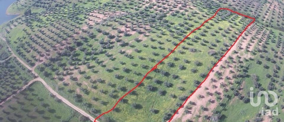 Terreno em Amieira E Alqueva de 8 000 m²