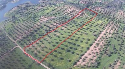 Land in Amieira E Alqueva of 8,000 m²