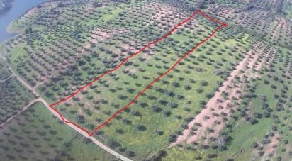 Land in Amieira E Alqueva of 8,000 m²