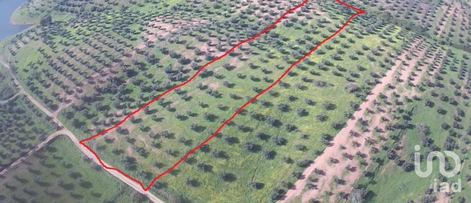 Terreno em Amieira E Alqueva de 8 000 m²