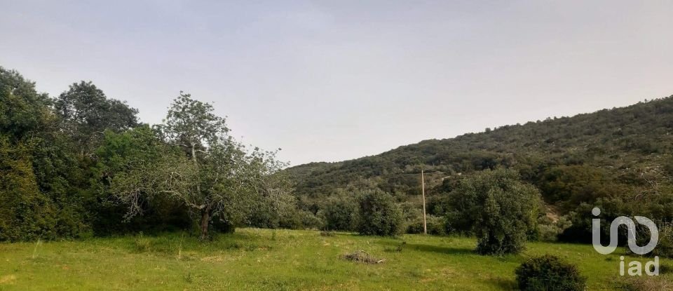 Land in Santa Bárbara de Nexe of 4,000 m²