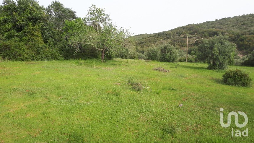 Terrain à Santa Bárbara de Nexe de 4 000 m²
