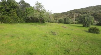 Terreno em Santa Bárbara de Nexe de 4 000 m²