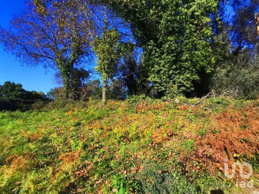 Land in Santa Marta de Portuzelo of 1,299 m²