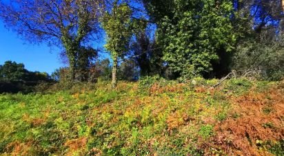Terrain à Santa Marta de Portuzelo de 1 299 m²