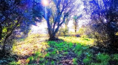 Terrain à Santa Marta de Portuzelo de 1 299 m²