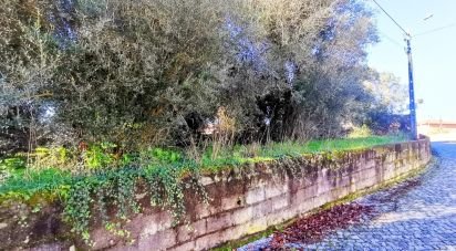 Terrain à Santa Marta de Portuzelo de 1 299 m²