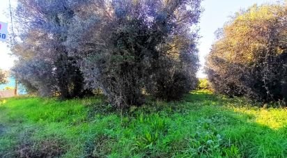 Terrain à Santa Marta de Portuzelo de 1 299 m²