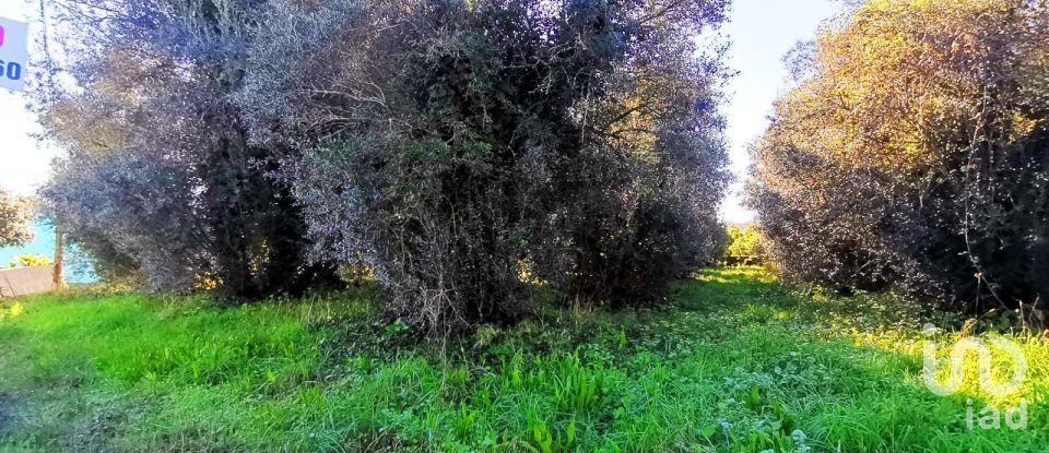 Land in Santa Marta de Portuzelo of 1,299 m²