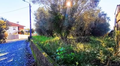 Terrain à Santa Marta de Portuzelo de 1 299 m²