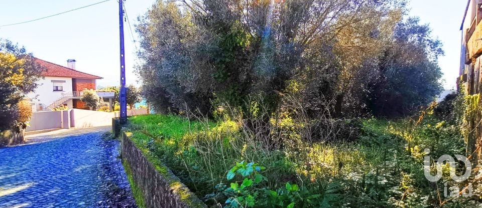 Land in Santa Marta de Portuzelo of 1,299 m²