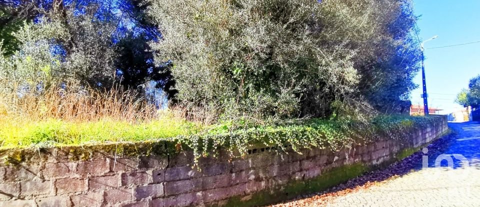 Land in Santa Marta de Portuzelo of 1,299 m²