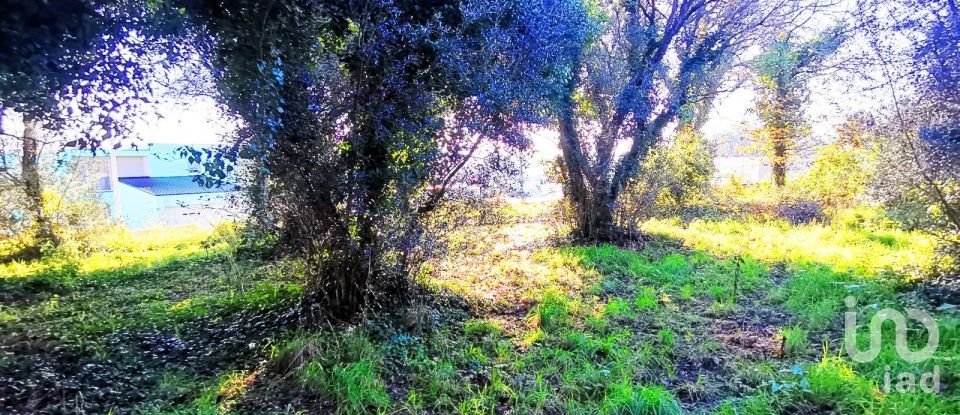 Land in Santa Marta de Portuzelo of 1,299 m²