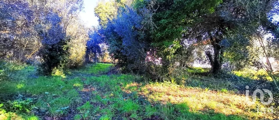 Land in Santa Marta de Portuzelo of 1,299 m²