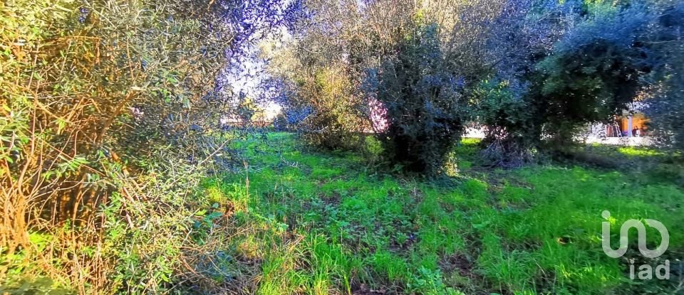 Land in Santa Marta de Portuzelo of 1,299 m²