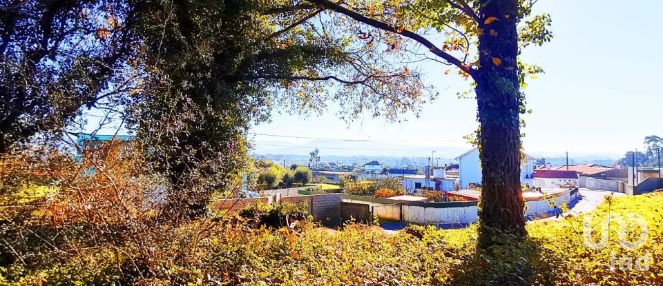 Land in Santa Marta de Portuzelo of 1,299 m²