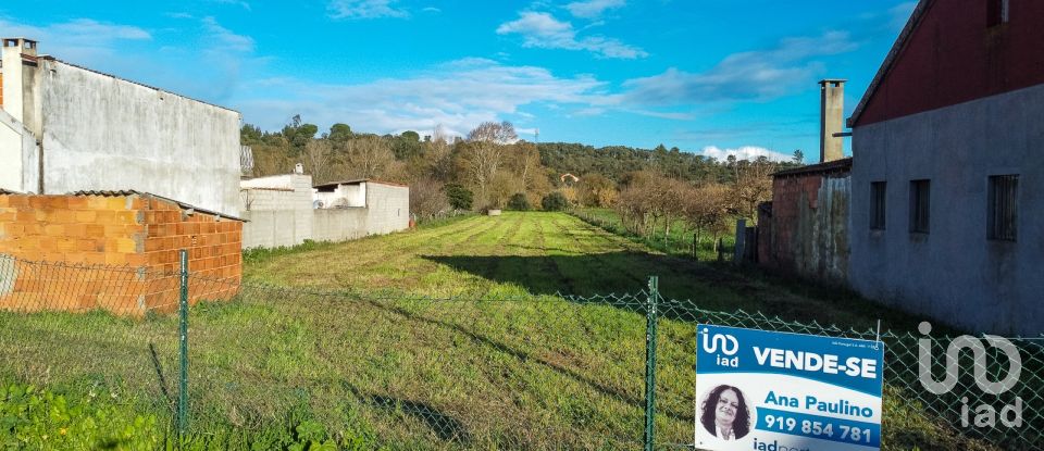 Terreno para construção em Tomar (São João Baptista) e Santa Maria dos Olivais de 2 920 m²