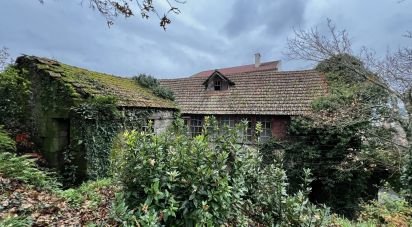 Maison de village T0 à São Vicente de Lafões de 296 m²