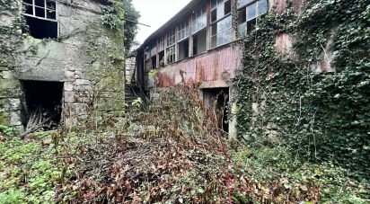 Maison de village T0 à São Vicente de Lafões de 296 m²