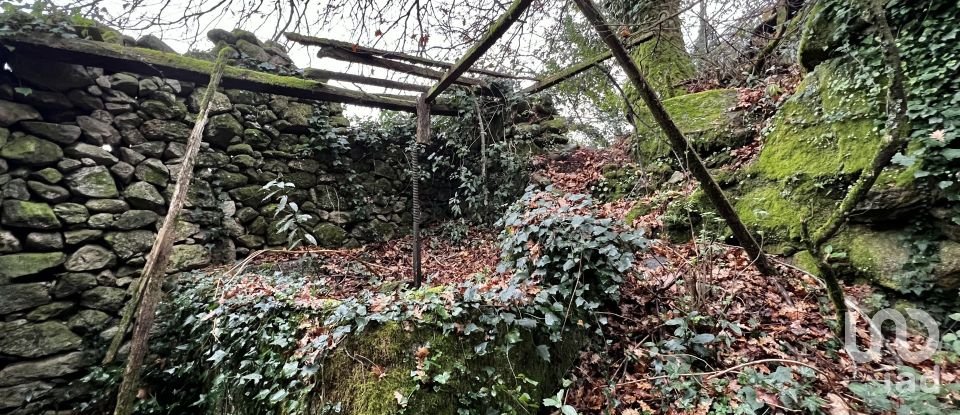 Maison de village T0 à São Vicente de Lafões de 296 m²