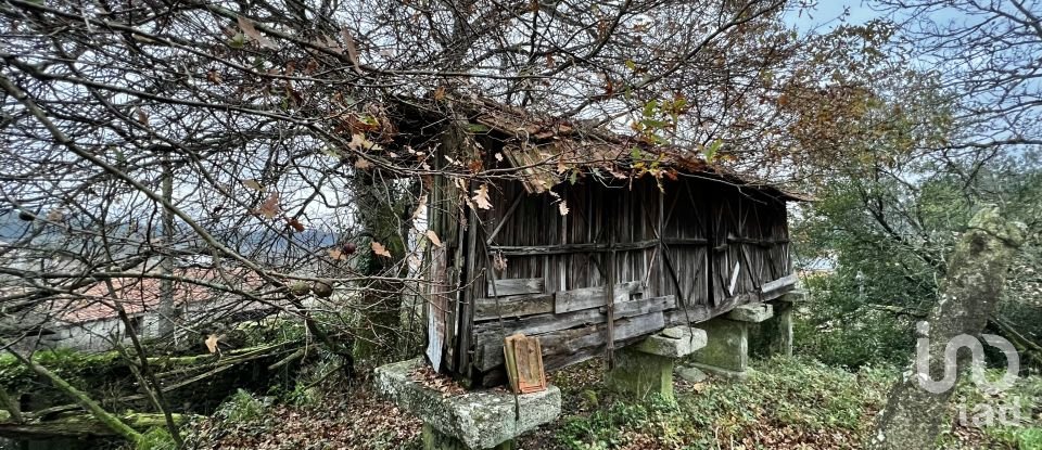 Maison de village T0 à São Vicente de Lafões de 296 m²