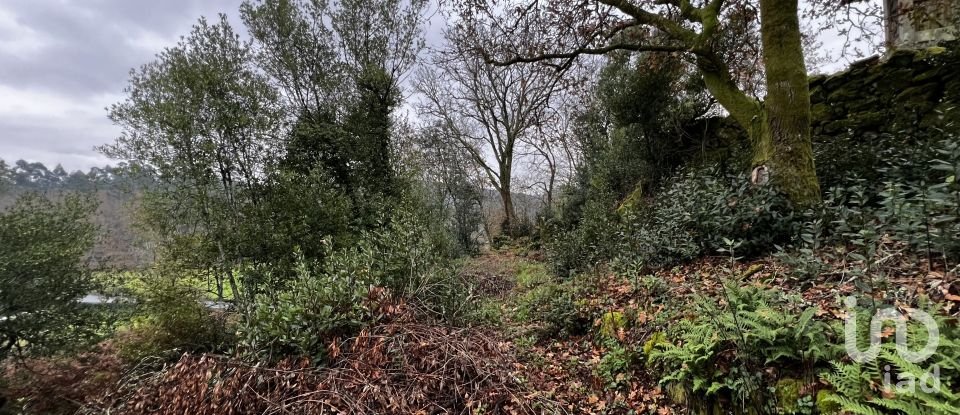 Maison de village T0 à São Vicente de Lafões de 296 m²