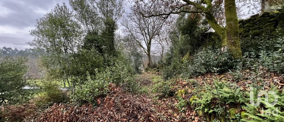 Maison de village T0 à São Vicente de Lafões de 296 m²