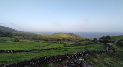 Maison rustique T3 à Piedade de 180 m²