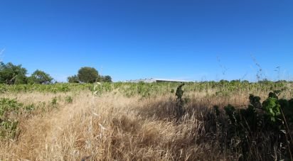 Agricultural land in Silves of 5,920 m²