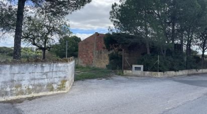 Maison T0 à Almancil de 89 m²