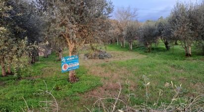 Terrain à Lousã e Vilarinho de 450 m²