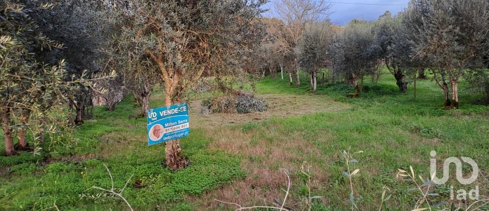 Terreno em Lousã e Vilarinho de 450 m²