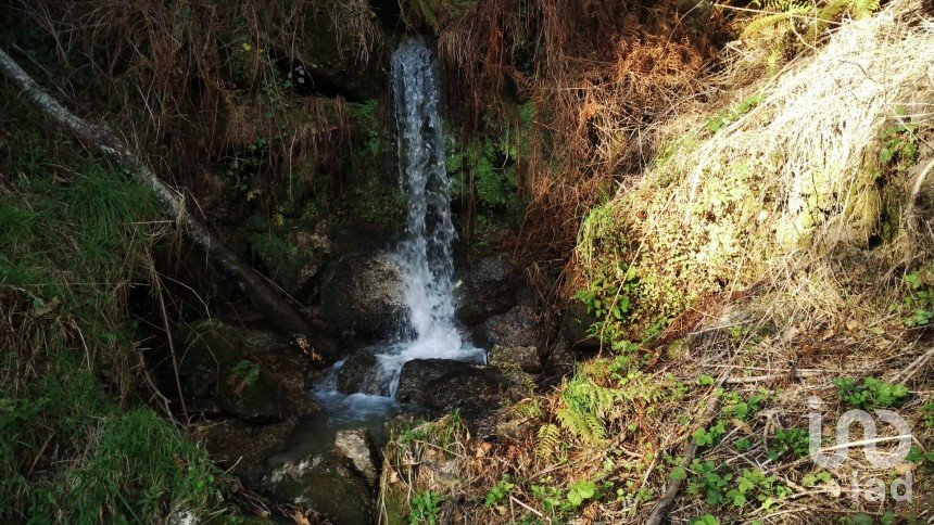 Land in Valdosende of 7,930 m²