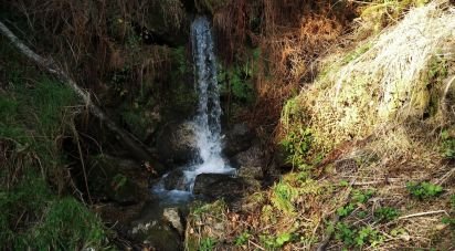 Terrain à Valdosende de 7 930 m²