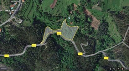 Terrain à Valdosende de 7 930 m²