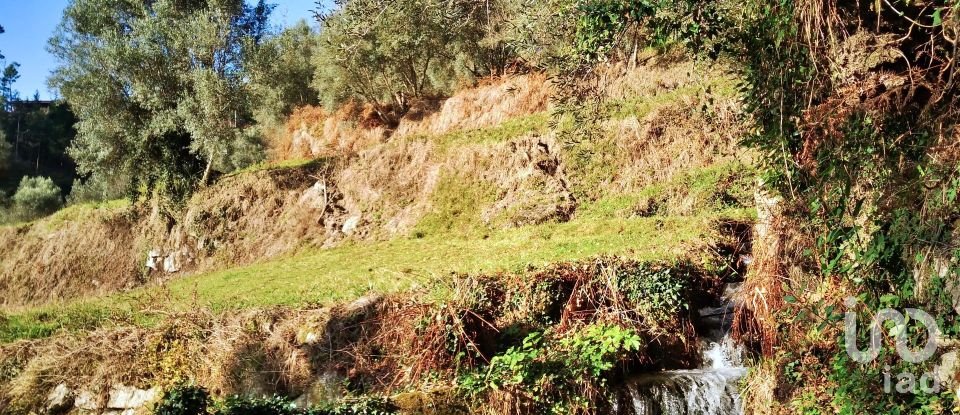 Land in Valdosende of 7,930 m²