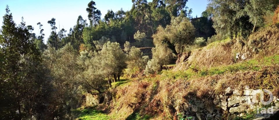 Land in Valdosende of 7,930 m²