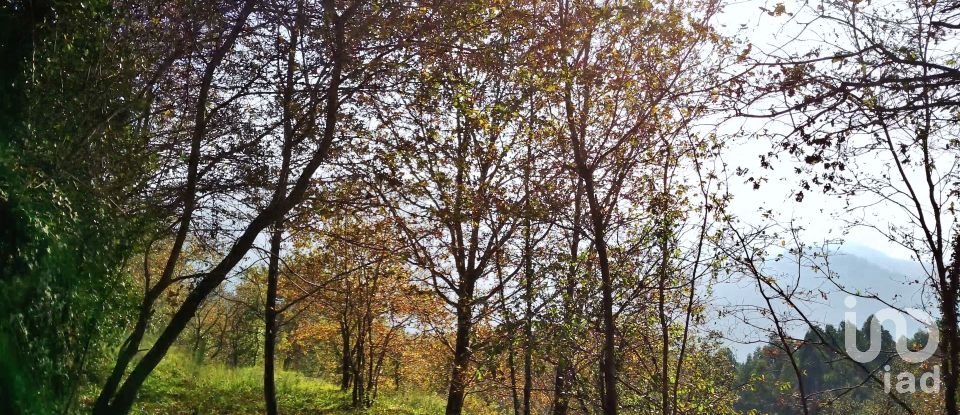 Land in Valdosende of 7,930 m²