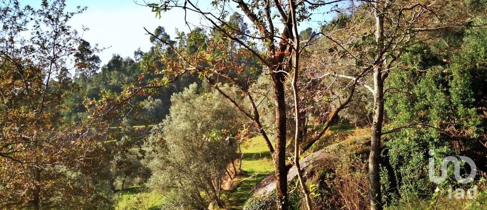 Land in Valdosende of 7,930 m²