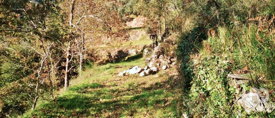 Land in Valdosende of 7,930 m²